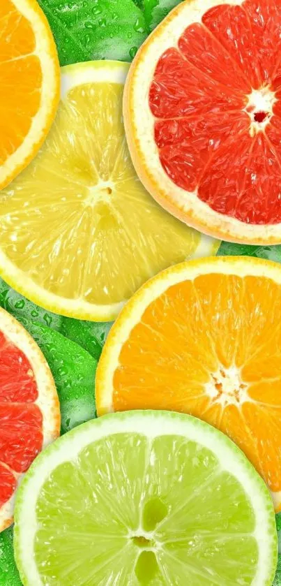 Vibrant citrus slices with green leaves background, colorful and refreshing.