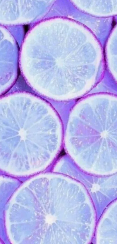 Purple citrus slices wallpaper with a vibrant and fresh lemon design.