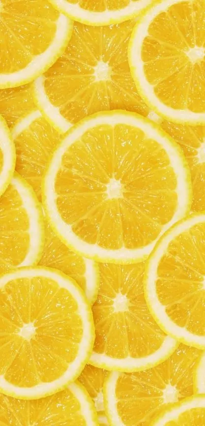 Vibrant yellow citrus fruit slices arranged creatively as wallpaper.