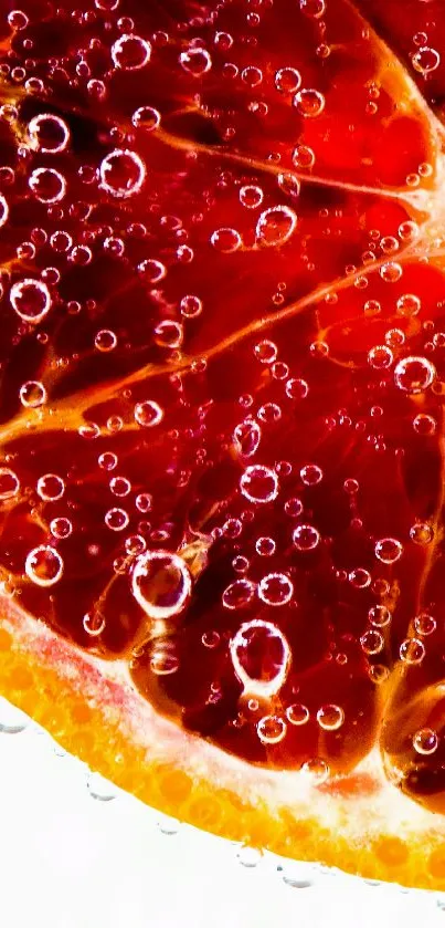 A vibrant red-orange sliced citrus fruit with water droplets on a white background.