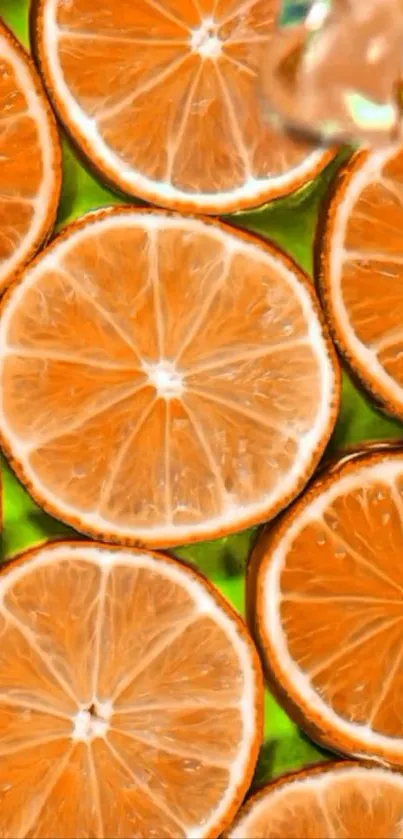 Close-up of vibrant citrus slices in a lively pattern.