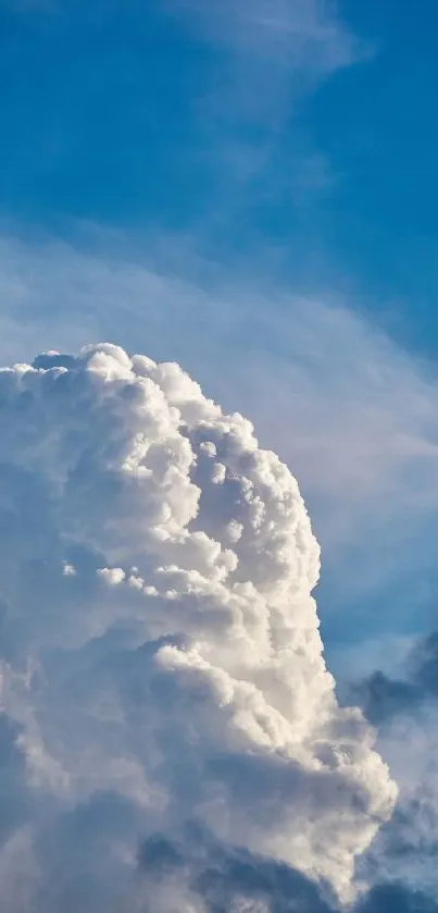 Blue sky with billowing white clouds forming a serene and picturesque scene.