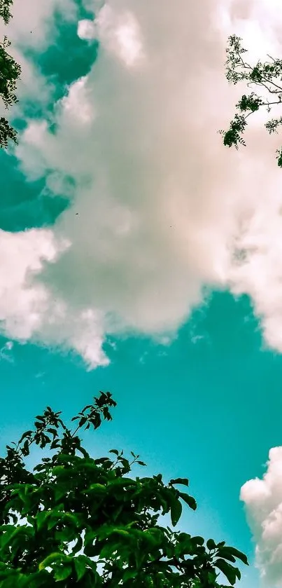 Mobile wallpaper of vibrant clouds and blue sky with green foliage.