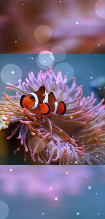 Clownfish swimming in pink coral with bubbles.