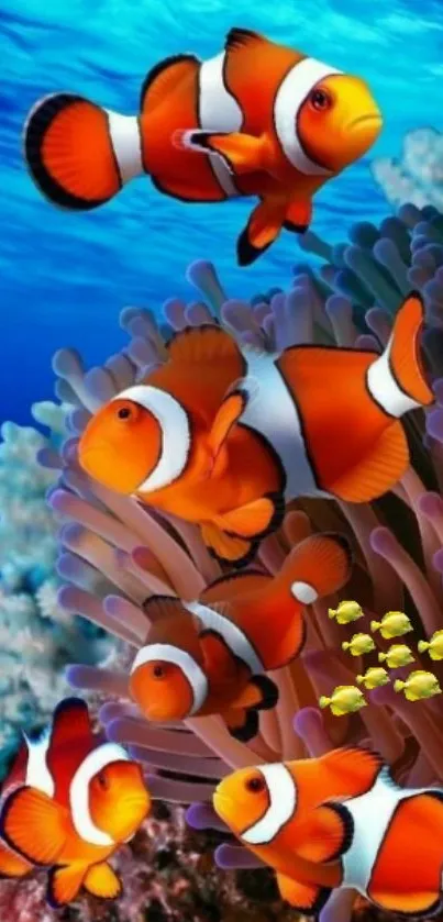 Colorful wallpaper featuring clownfish swimming among coral reefs.