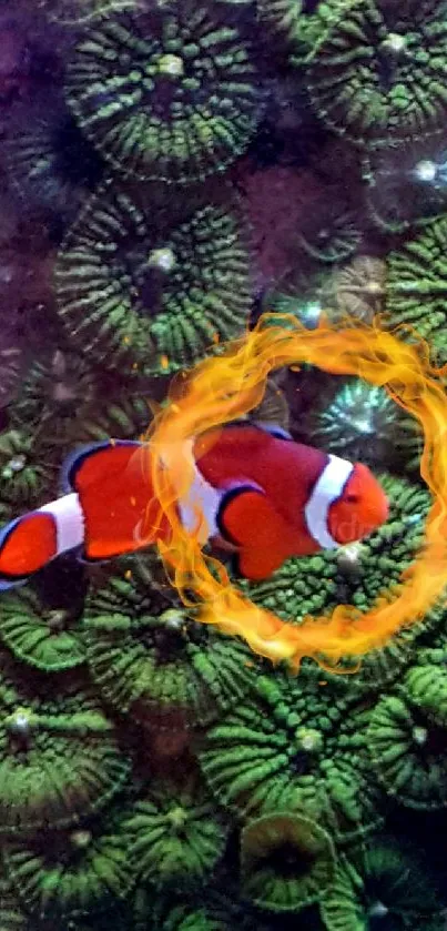 Clownfish swims in vibrant green coral with glowing ring effect.