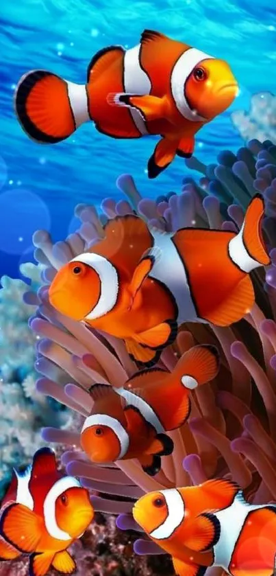 Clownfish swimming in vibrant coral reef with a blue ocean backdrop.
