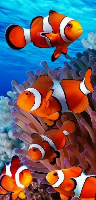 Vibrant clownfish swimming in bright ocean with coral.