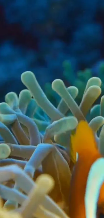 Clownfish in vibrant reef, showcasing lively underwater blues and corals.