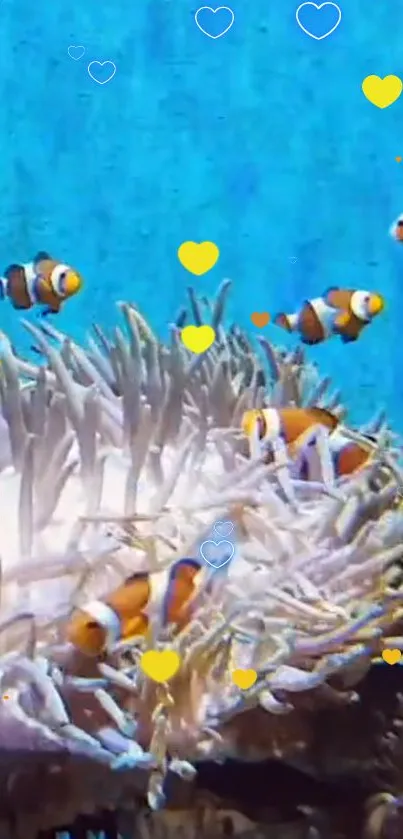 Clownfish swimming in a vibrant coral reef.