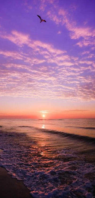 Purple sunset over ocean waves with bird above.