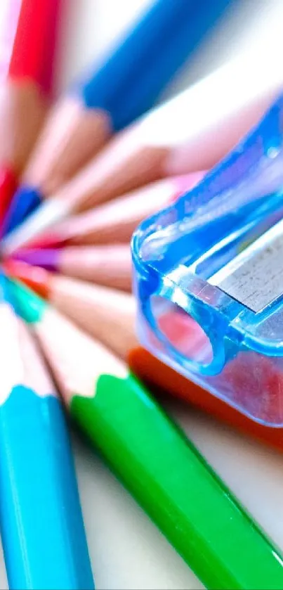 Vibrant colored pencils with a blue sharpener on white background.