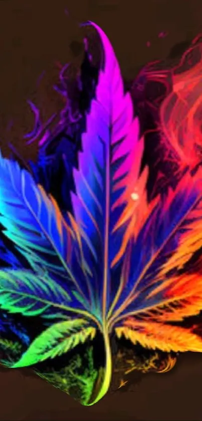 Multicolored leaf with flame-like colors on a black background.