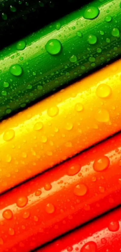 Colorful pencils with water droplets on colorful background.