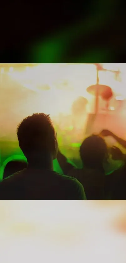 Silhouette of people at a concert with vibrant green lights.