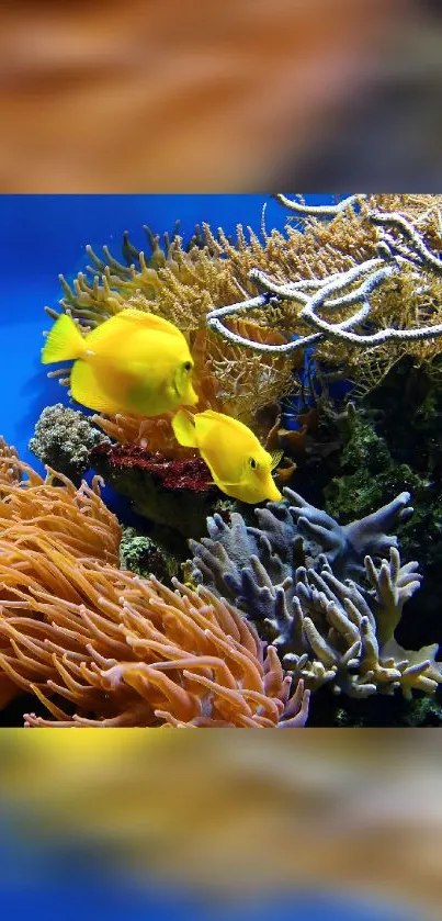 Bright yellow fish swim among colorful coral in a vibrant underwater scene.