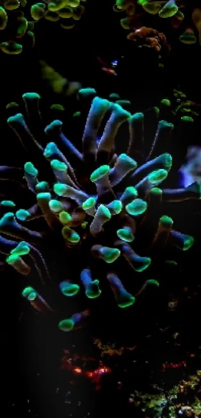Vibrant coral reef with glowing green polyps.