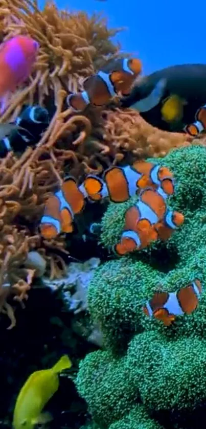 Colorful coral reef with clownfish and marine life in a vibrant underwater scene.