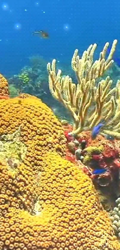 Colorful coral reef with fish swimming