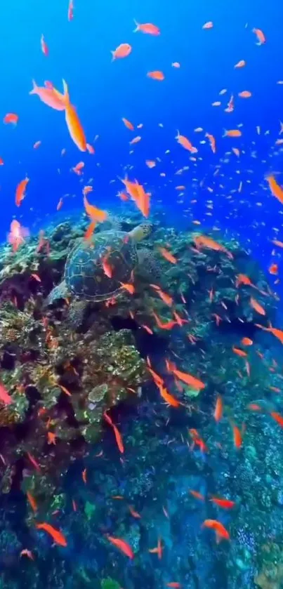 Vibrant coral reef with colorful fish swimming.