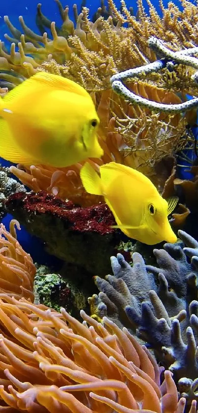 Vibrant coral reef with yellow fish swimming.