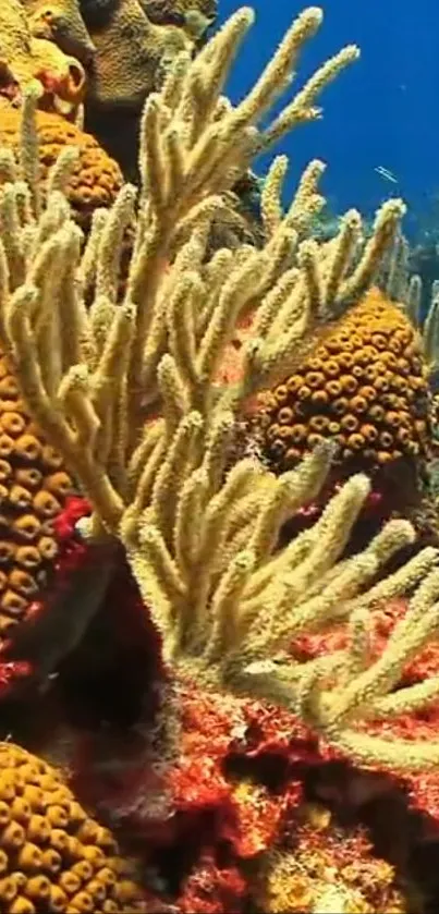 Vibrant coral reef with diverse marine life in vivid colors.