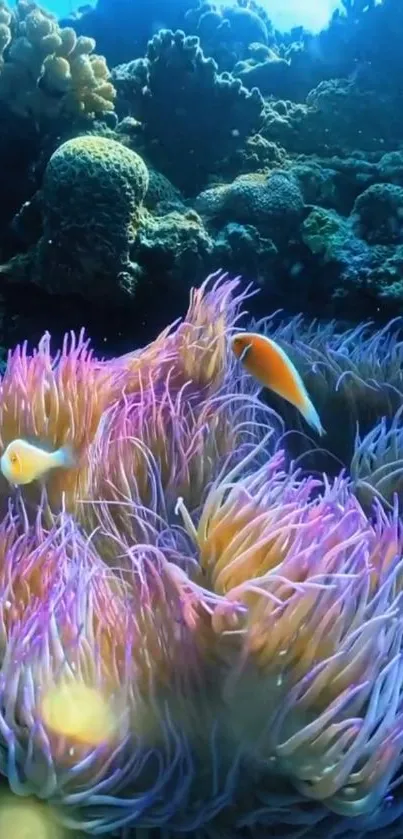 Purple and orange coral reef with marine life underwater.