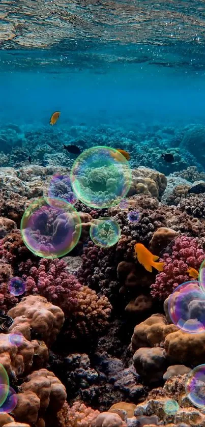 Underwater coral reef with vibrant fish.