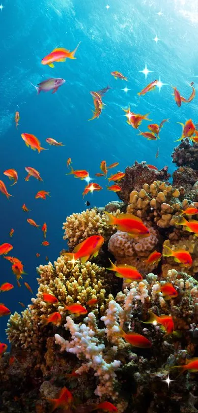 Colorful coral reef with bright fish swimming underwater.