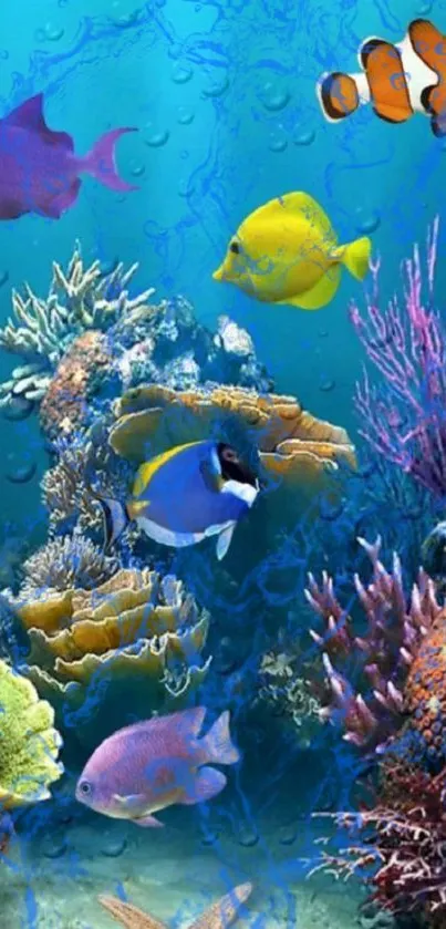 Colorful coral reef with tropical fish.