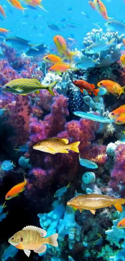 Vibrant underwater coral reef with colorful fish swimming.