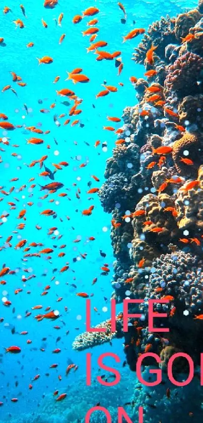 Underwater coral reef and school of fish with text 'Life is going on'.