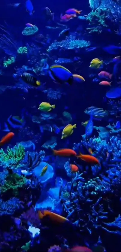 Colorful coral reef with tropical fish