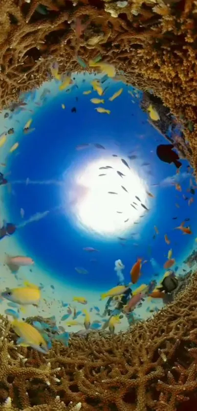 Underwater coral reef view with vibrant marine life.