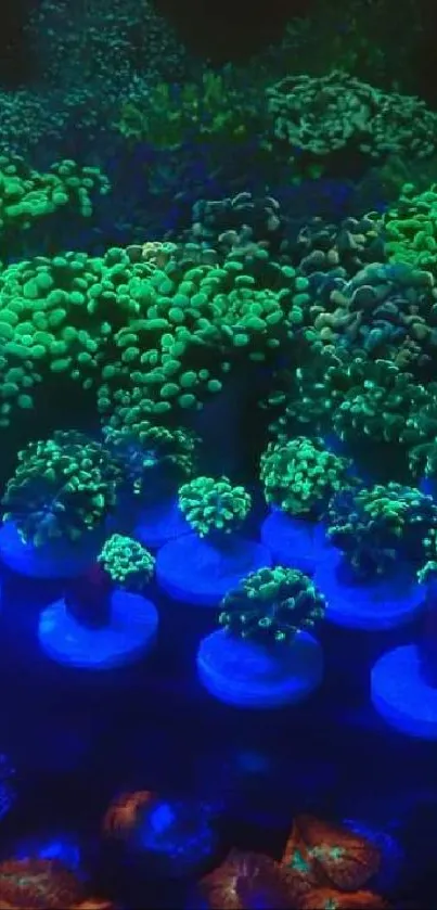 Vibrant coral reef with glowing greens and blues, featuring diverse marine life.