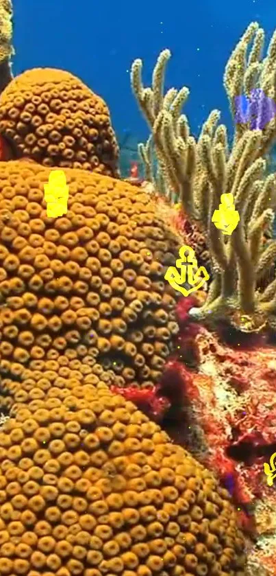 Vibrant coral reef with marine life in an underwater scene.