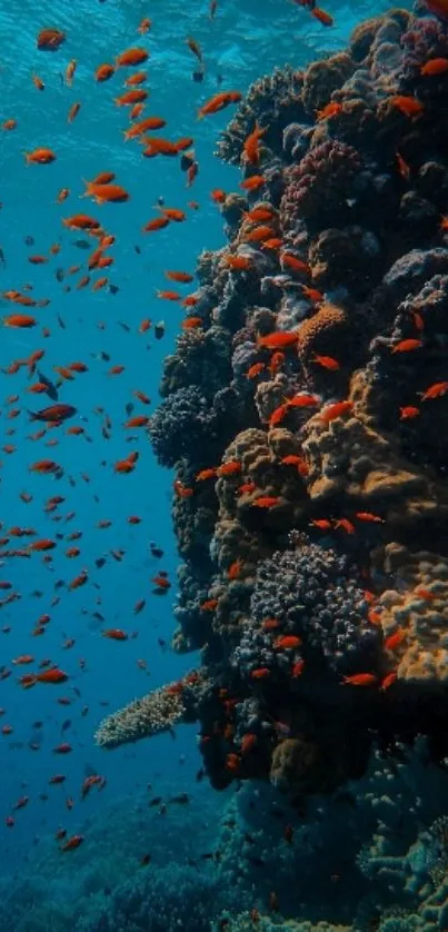 Vibrant coral reef with colorful fish.