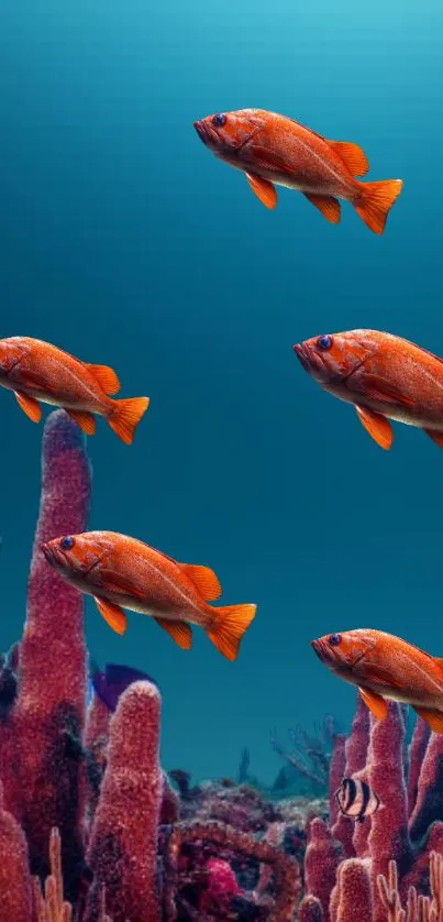 Colorful fish swimming in vibrant coral reef underwater scene.