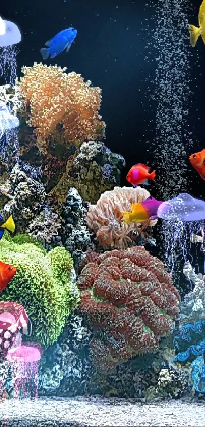 Vibrant reef with tropical fish and coral on a mobile wallpaper.