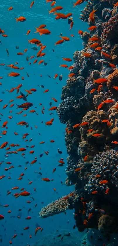 Vibrant coral reef with colorful fish swimming in blue ocean waters.