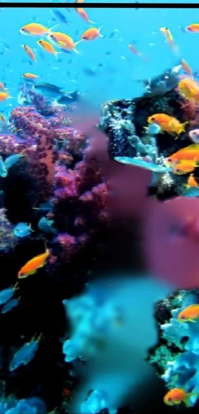 Vibrant coral reef with colorful fish underwater.