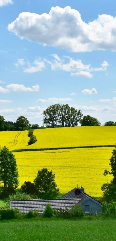 Countryside landscape with vibrant yellow and green fields under a blue sky.