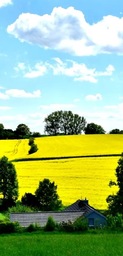 Peaceful countryside landscape with green fields and blue sky.