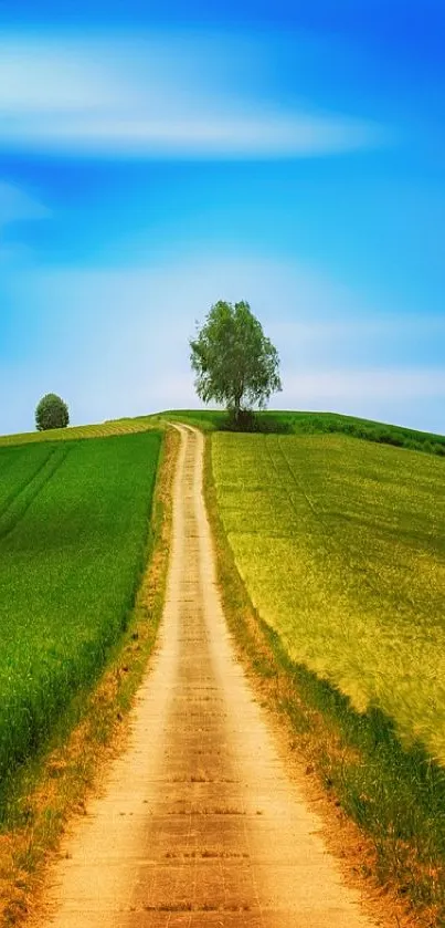 Vibrant countryside road with green fields under a blue sky.