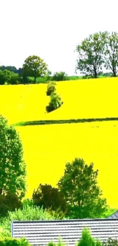 Lush green fields under a bright blue sky with fluffy clouds.