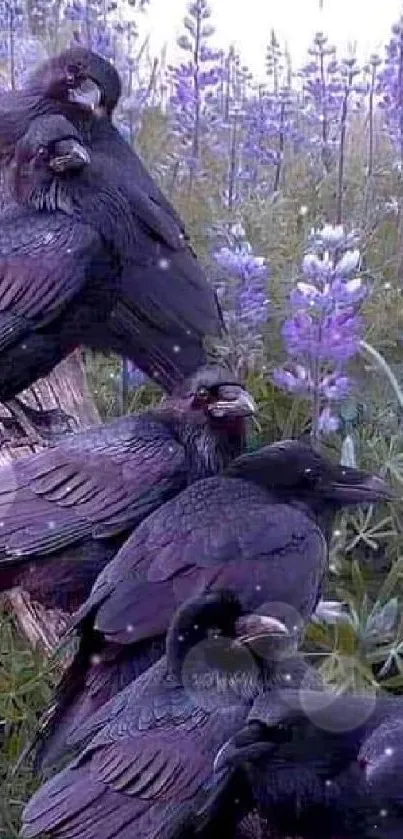 Crows perching on a log surrounded by vibrant lavender flowers.