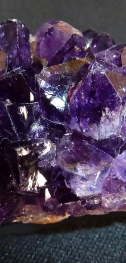 Amethyst crystal with rich purple hues against a dark background.