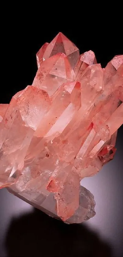 Salmon pink crystal cluster on dark background mobile wallpaper.