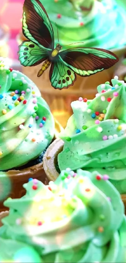 Green frosting cupcakes with a butterfly on top.