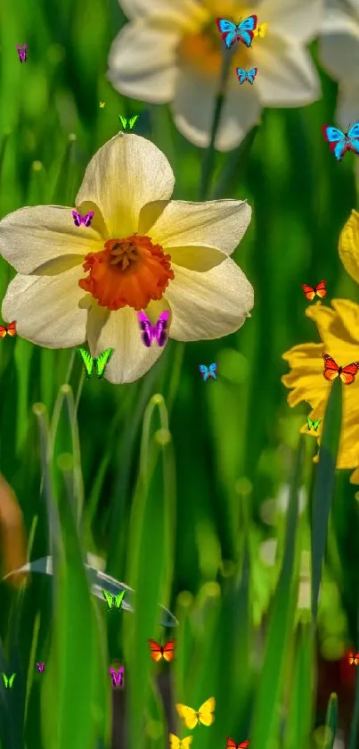 Vibrant daffodils with lush green leaves in bright sunlight.